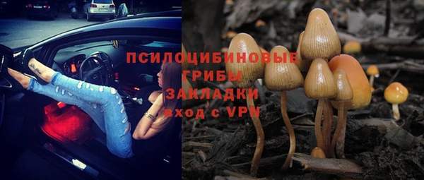 гидропоника Алексин